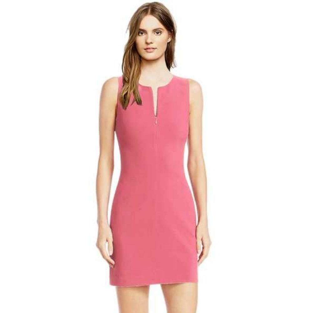 elizabeth and james sheath dress